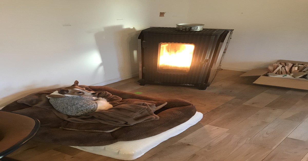 愛車（自動車＆自転車＆バイク）に関するWebメディア