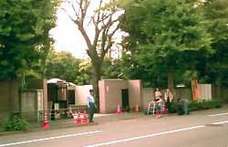 懐かしの 目白御殿 界隈 V 食いしん坊ナツメッグ の日記