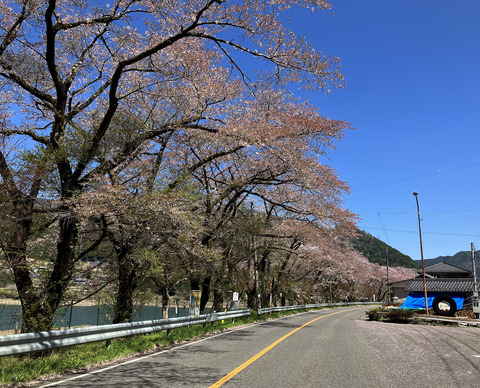 hassaka 408_01