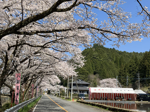 hassaka 403_01