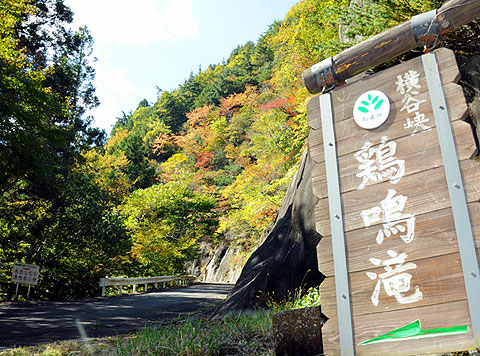 taki20141028_01