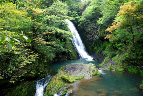金山滝開き49