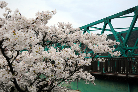 kanayama_50408a