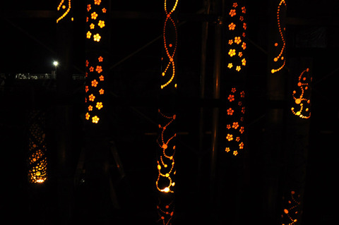 bamboo_20