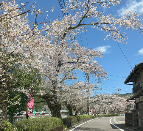 oofunato0410
