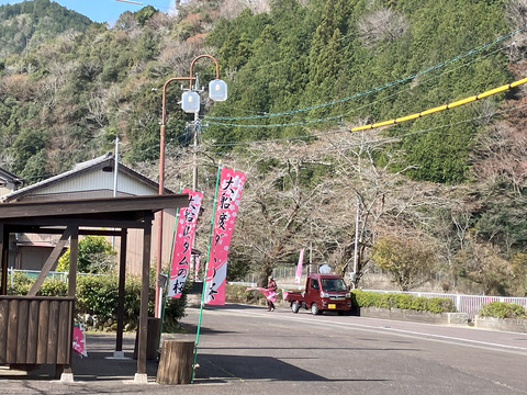 oofunato_0331