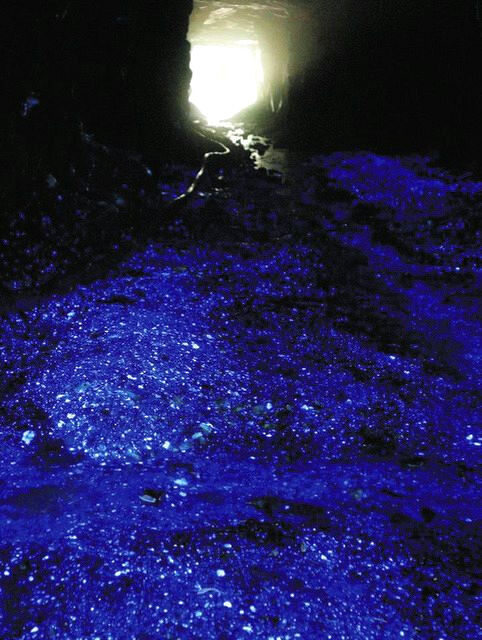 予約が20秒で埋まる蛍石ミネラルハンティングツアー : 飛騨金山には