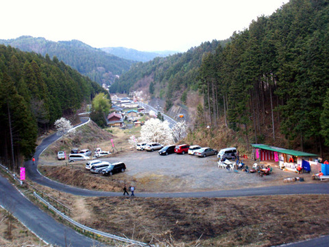 kanayamasakura_takemi06