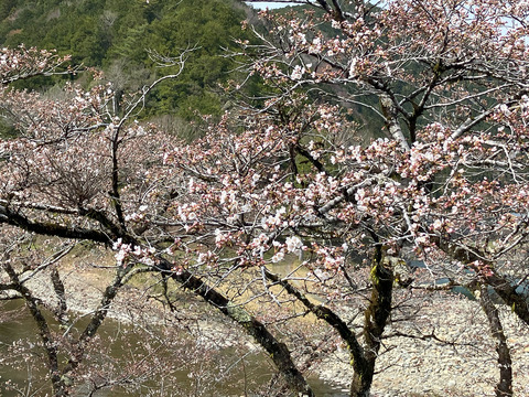 kanayama_0405