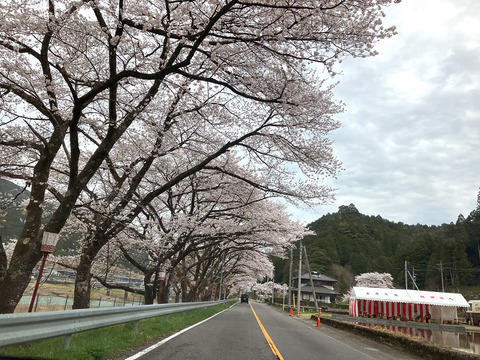 hassaka0408_3