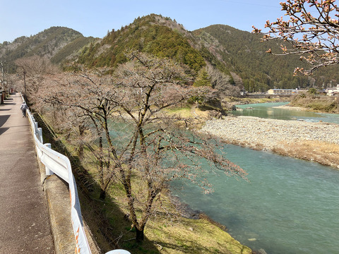 kanayama0330_00