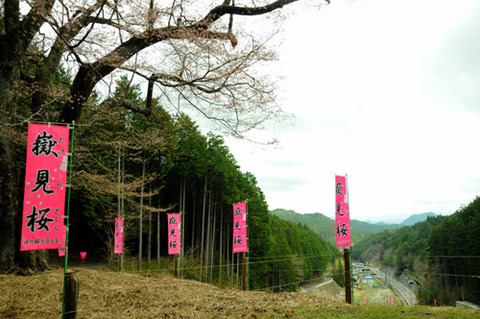 TAKEMI_2015_49_06