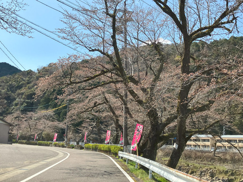 oofunato_0403a