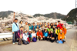 kanayamasakura_hashi05