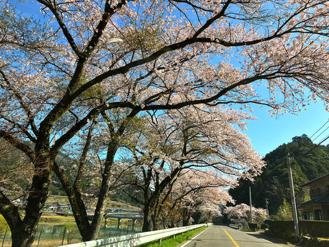 hassaka0412