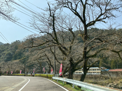oofunato0330