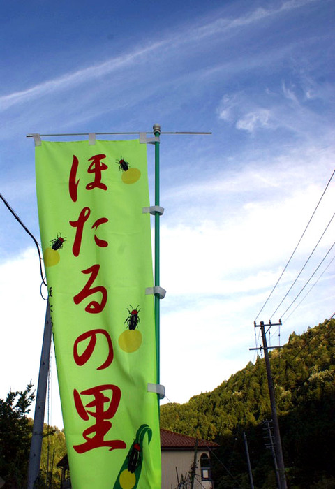 菅田川蛍大谷戸03