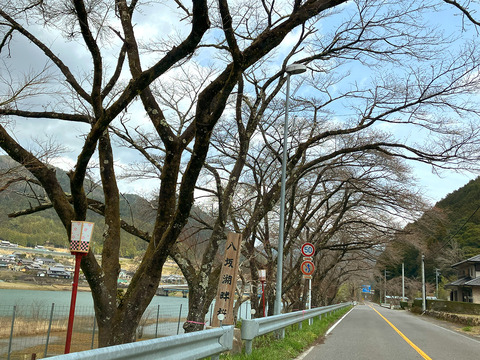 hassaka_0331_0