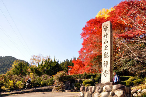 jr2013_04