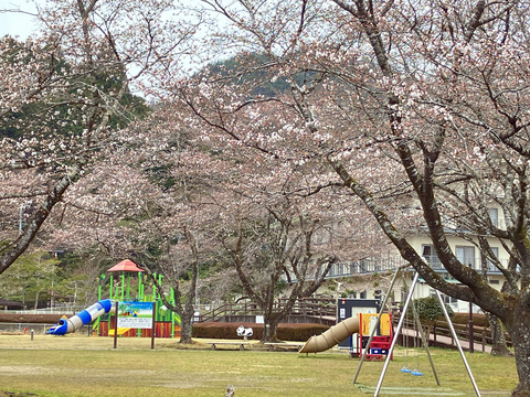 park 325_02