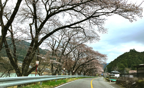 hassaka0405