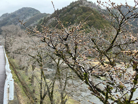 kanayama0325_00
