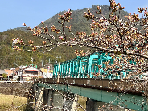 kanayama0330_01