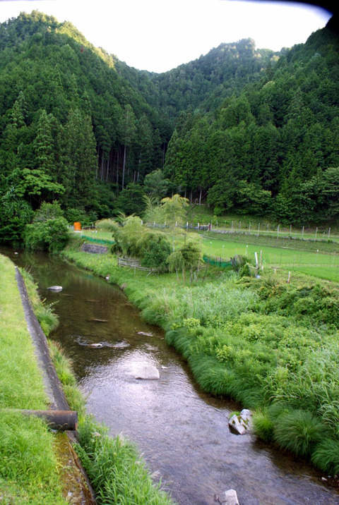 菅田川蛍大谷戸04