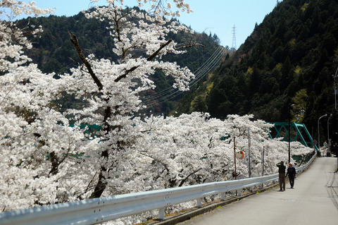 kanayama_50409b