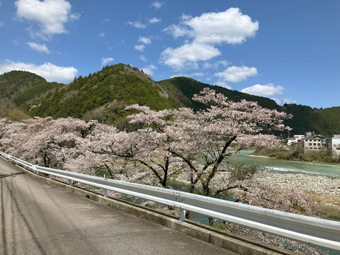 kanayama04110