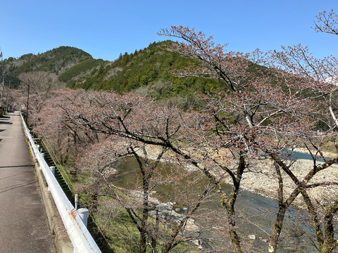 kanayama_0403a