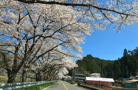 0412-3