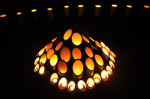 bamboo_23