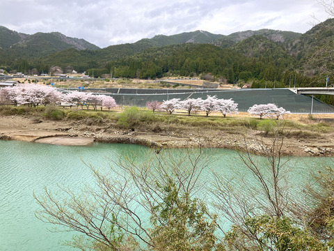 dam0408