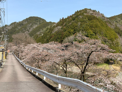 kanayama0402_01