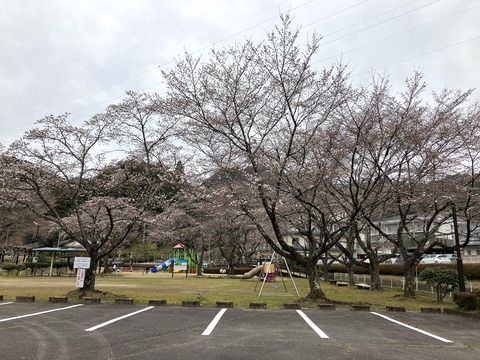 park 325_01