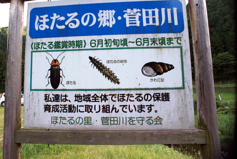 菅田川蛍大谷戸06