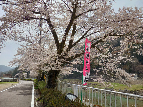 oo_20210330a
