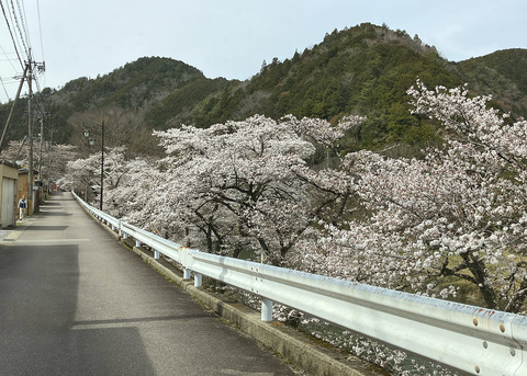 kanayama0404