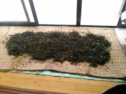 菅田手もみ茶５むしろ干し