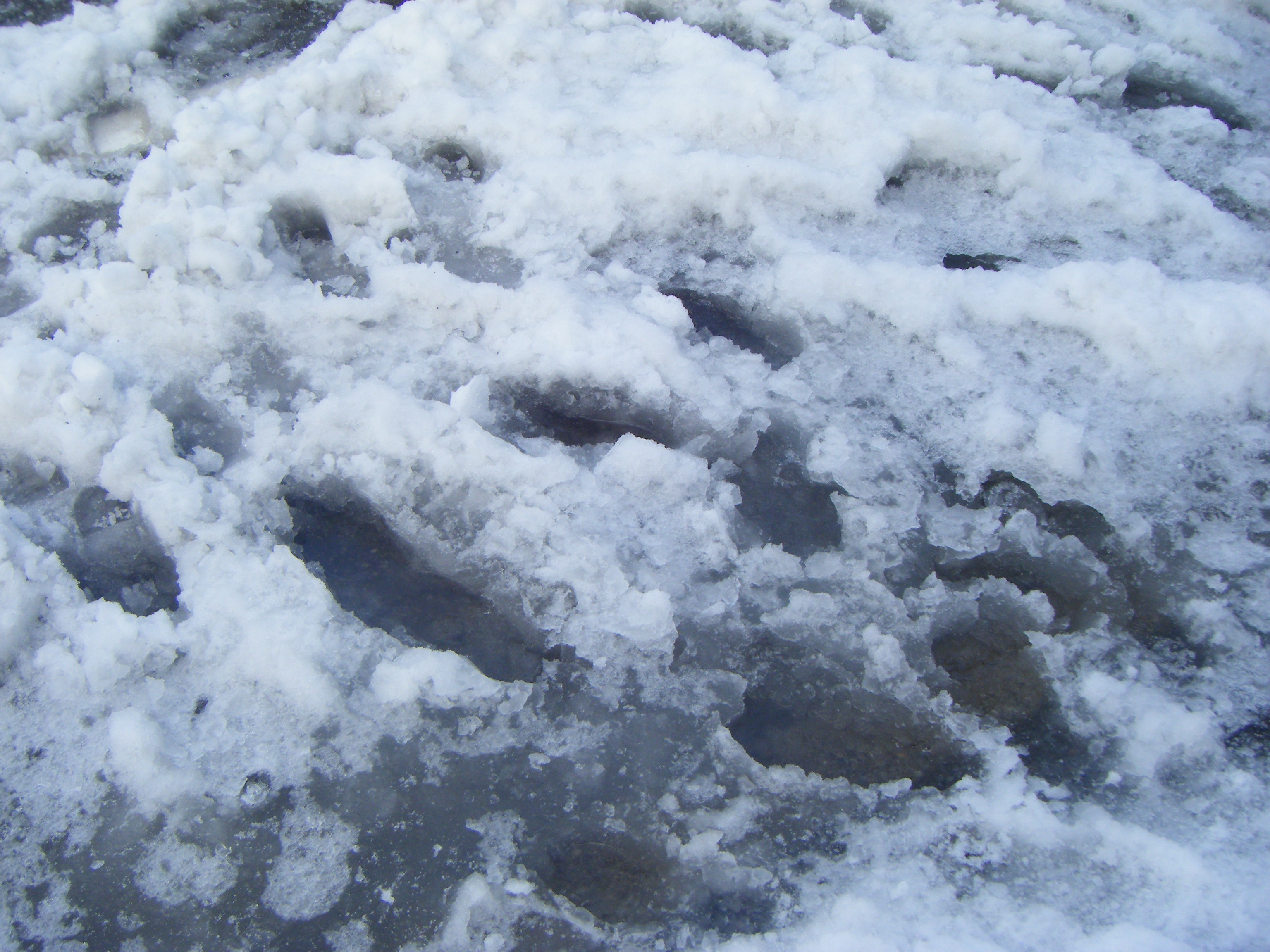 北陸名物 融雪道路 金沢のじわもん情報ブログ めっけもん金沢