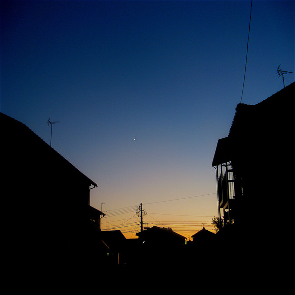 photohhhhhcat