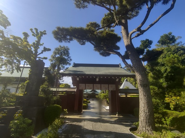 ぼかしモザイク_20230417_184550