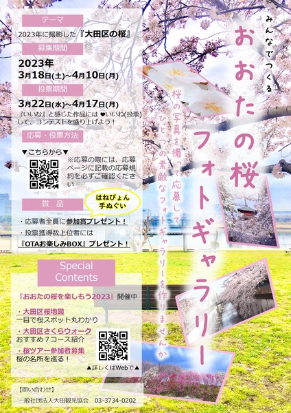 さくらフォトギャラリーフライヤA4-_page-0001