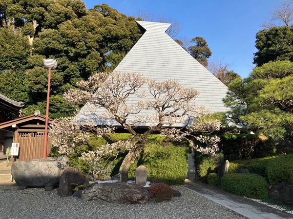 LINE_ALBUM_大坊手作り市(池上大坊本行寺)_240213_4