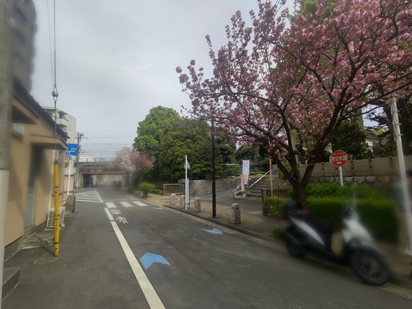 ぼかしモザイク_20230406_094252