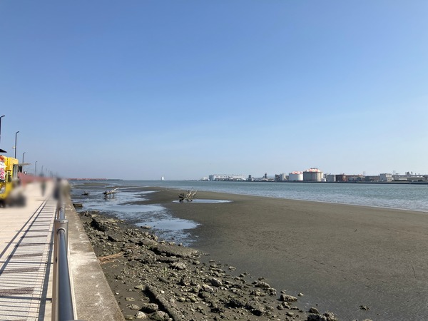 Point Blur_20240401_192750