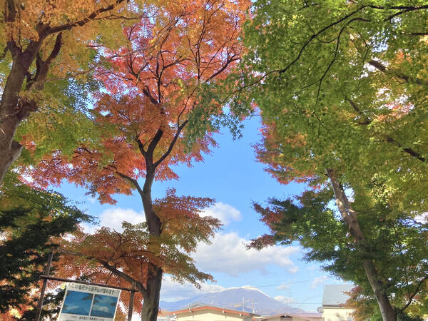 e366ebc8-s