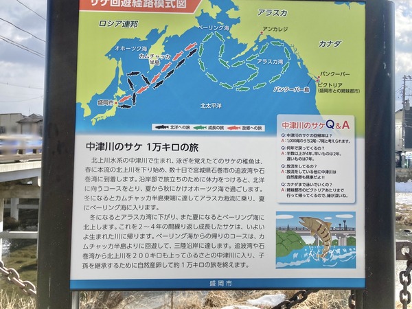 15707708677823