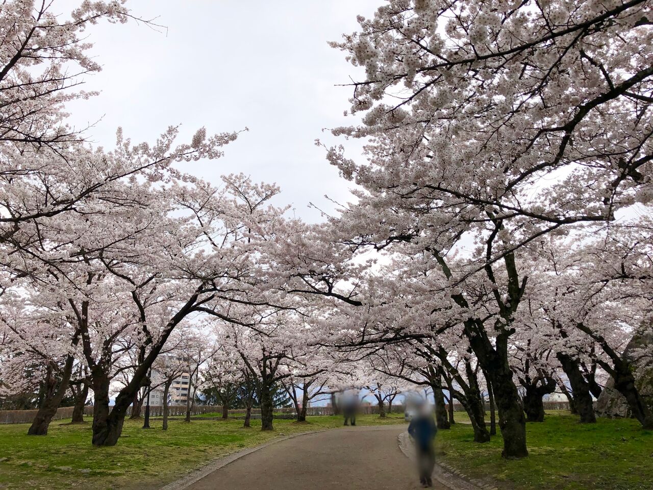 高松公園さくら祭り, 高松公園 桜 アクセス : 4月のさくら祭り・お花見イベント – MMBQAZ